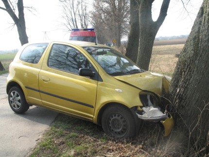 Elbląg, Samochód najpierw uderzył w metalową linę, a następnie w przydrożne drzewo