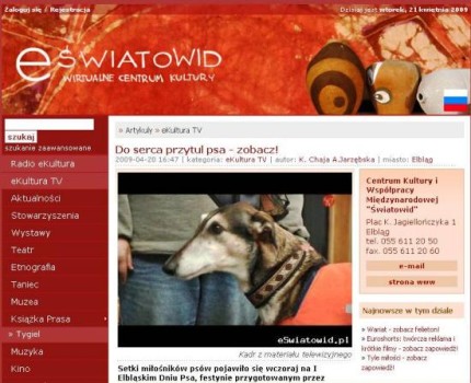 Elbląg, Miłka i Roxi znalazły swój dom Elbląg, Miłka i Roxi znalazły swój dom