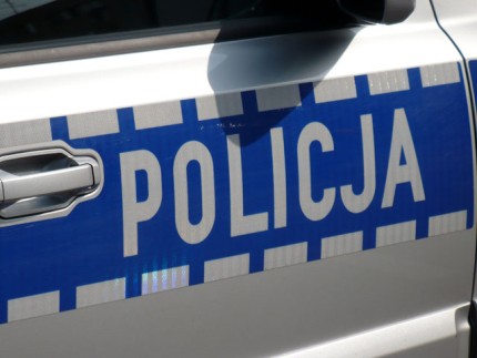 Elbląg, Policja szuka świadków potrącenia Elbląg, Policja szuka świadków potrącenia