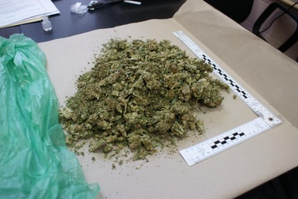 Elbląg, W mieszkaniu 20-latka policjanci znaleźli prawie kilogram marihuany