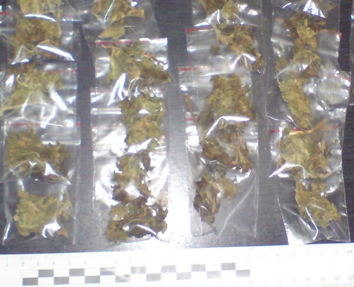 Elbląg, Policjanci udowodnili Piotrowi sprzedaż około 3 kilogramów marihuany