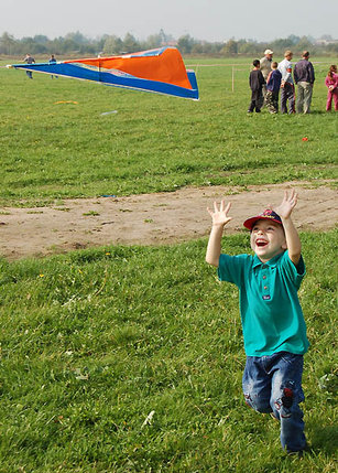 Elbląg, Festiwal latawców Elbląg, Festiwal latawców