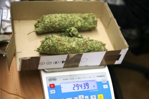Elbląg, Policjanci zabezpieczyli 5,5 kg marihuany, która miała trafić na rynek w Polsce i Europie Północnej