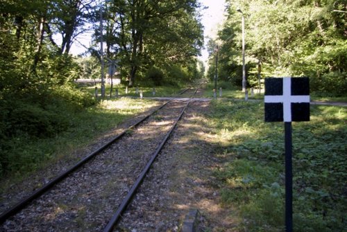 Elbląg, Kadyny - peron w lesie