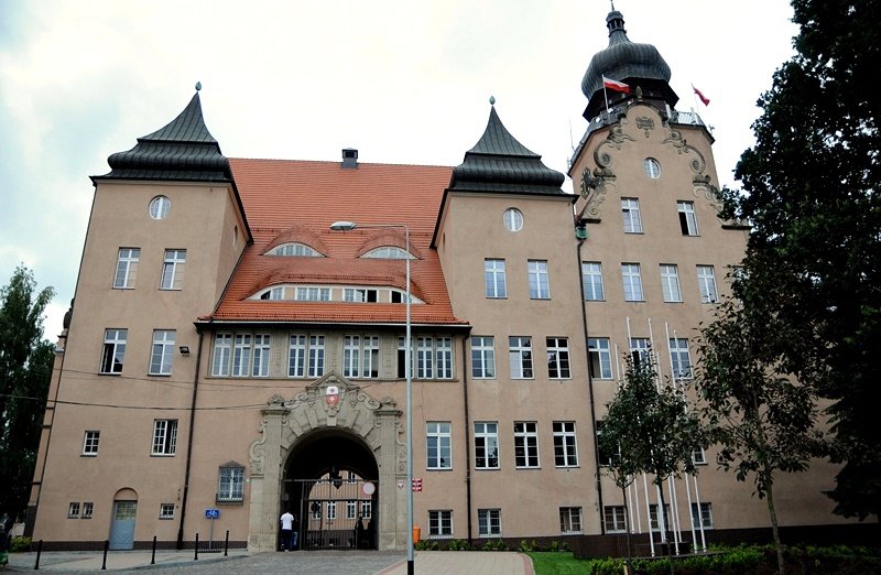 Elbląg, Konsultacje społeczne w sprawie Dąbrowy Elbląg, Konsultacje społeczne w sprawie Dąbrowy