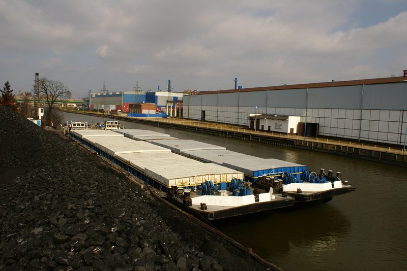 Elbląg, Bizony ruszają Elbląg, Bizony ruszają