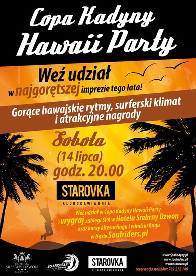 Elbląg, Surferskie beach party w Starovce Elbląg, Surferskie beach party w Starovce
