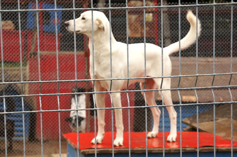Elbląg, Odmienić ich los Elbląg, Odmienić ich los