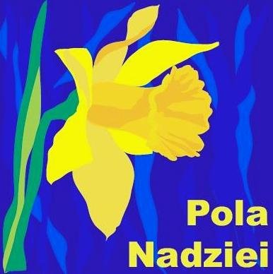 Elbląg, Jutro żonkilowe Pola Nadziei Elbląg, Jutro żonkilowe Pola Nadziei