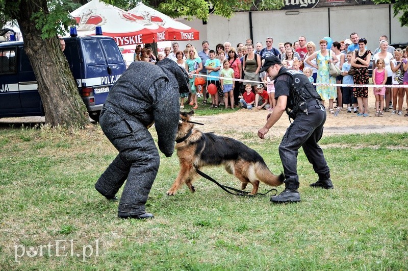 Elbląg, Podczas festynu policyjnego zaprezentowali się przewodnicy psów służbowych wraz ze swoimi pupilami
