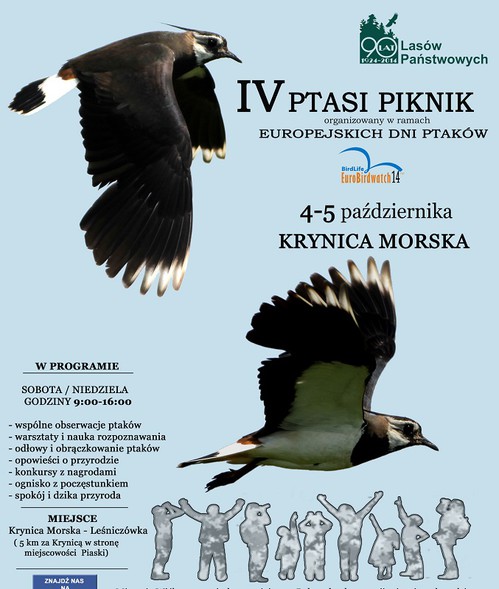 Elbląg, Zapraszamy na IV Ptasi Piknik Elbląg, Zapraszamy na IV Ptasi Piknik