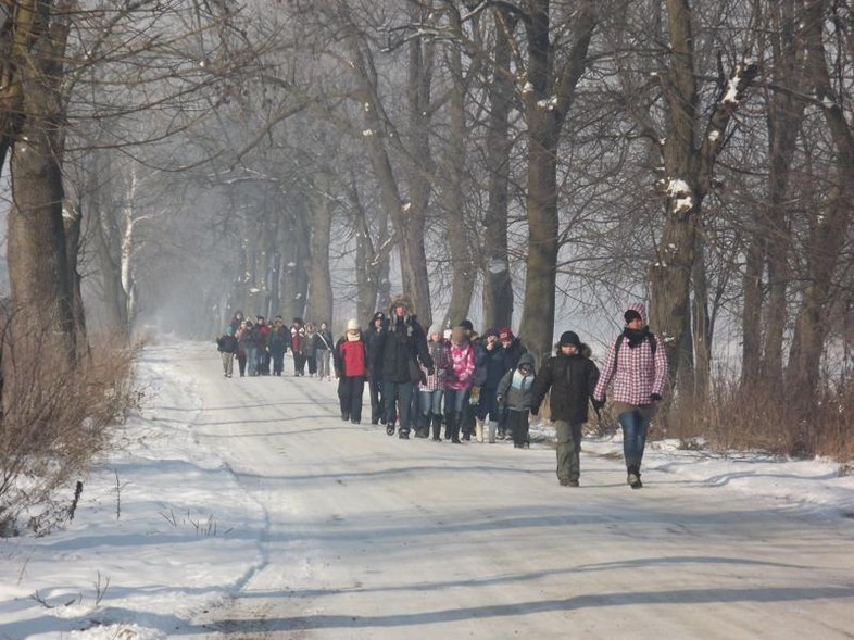 Elbląg, 43. Ogólnopolski Złaz do Fiszewa