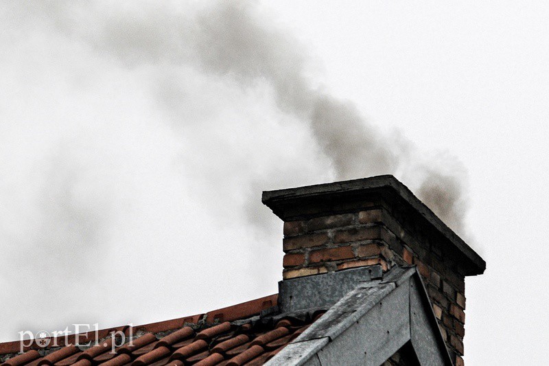 Elbląg, Najbardziej do wzrostu zanieczyszczeń przyczynia się palenie w piecach niedozwolonymi materiałami