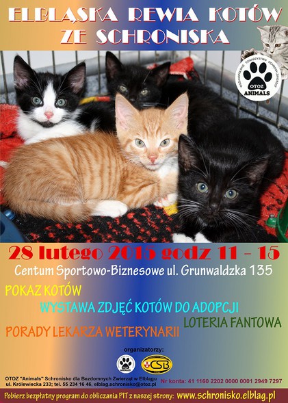 Elbląg, 2. Elbląska Rewia Kotów Elbląg, 2. Elbląska Rewia Kotów