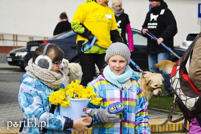 Elbląg, Coraz więcej wolontariuszy, coraz więcej mieszkańców przekazuje datki na rzecz elbląskiego hospicjum Elbląg, Coraz więcej wolontariuszy, coraz więcej mieszkańców przekazuje datki na rzecz elbląskiego hospicjum