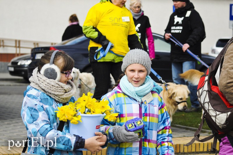 Elbląg, Coraz więcej wolontariuszy, coraz więcej mieszkańców przekazuje datki na rzecz elbląskiego hospicjum