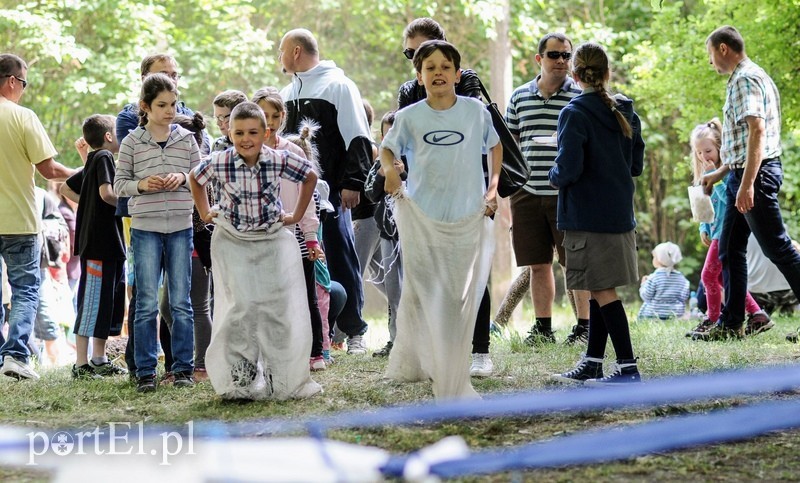 Elbląg, Z Piegusem dookoła świata już w niedzielę