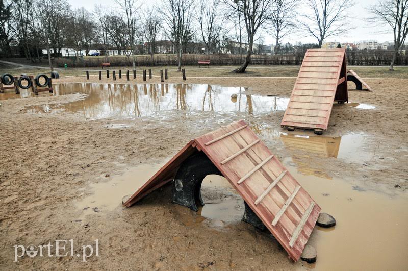 Elbląg, Tak park wyglądał jeszcze wczoraj