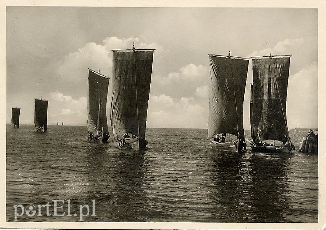 Elbląg, Barkasy - dawne łodzie rybackie
