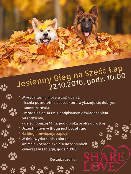 Elbląg, Bieg na Sześć Łap w jesiennych barwach Elbląg, Bieg na Sześć Łap w jesiennych barwach