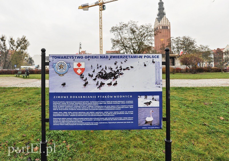 Elbląg, Na bulwarze Zygmunta Augusta znajduje się tablica o dokarmianiu ptaków zimą