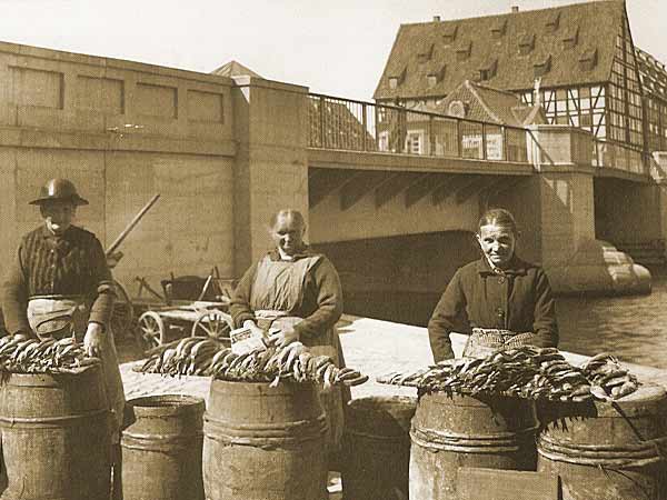 Elbląg, Kobiety handlujące rybami na targu przy rzece Elbląg