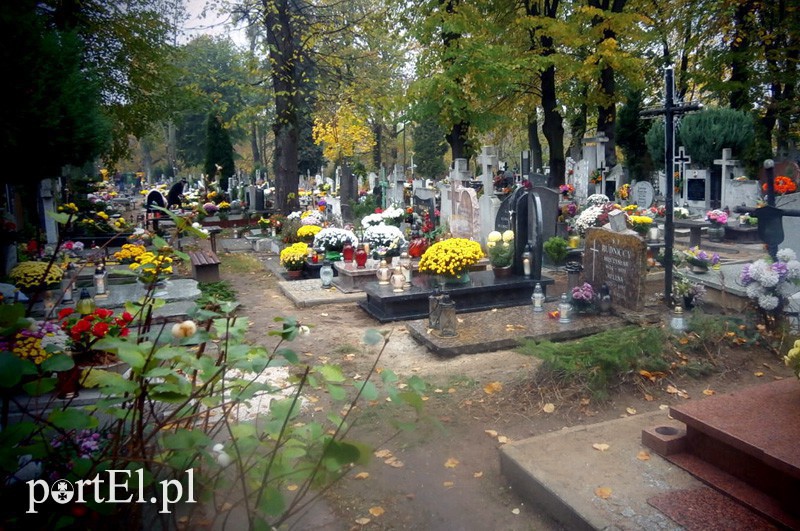 Elbląg, Czy na Agrykola pochowano ofiary komunistycznego terroru z lat 40. i 50.?