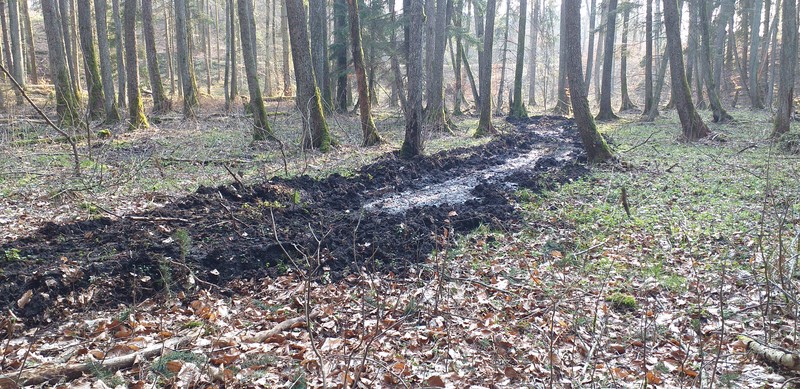 Elbląg, Efekt jazdy quadami po lesie Elbląg, Efekt jazdy quadami po lesie