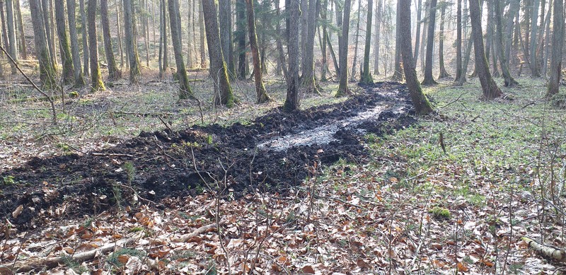 Elbląg, Efekt jazdy quadami po lesie