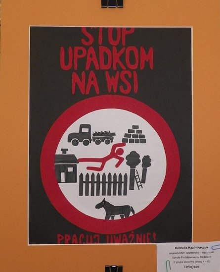 Nagrodzona praca, fot. nadesłana