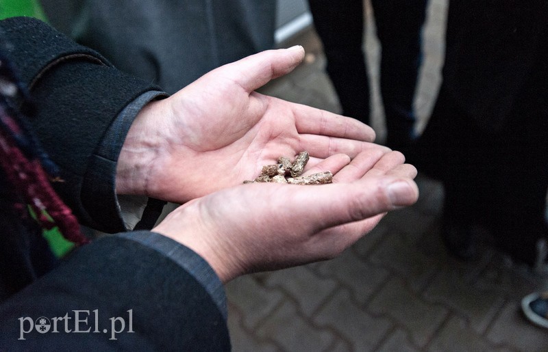 Te niepozorne wałeczki robią prawdziwą furorę w krajach wysoko rozwiniętych. Peletem ogrzewają się Duńczycy, Szwajcarzy czy Austriacy (fot. AD)