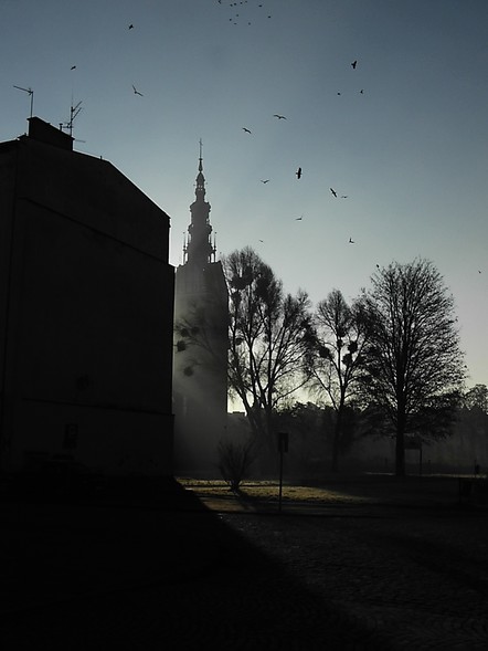 Elbląg, Historia elbląskich ulic: Mostowa w cieniu katedry ( odcinek 38)