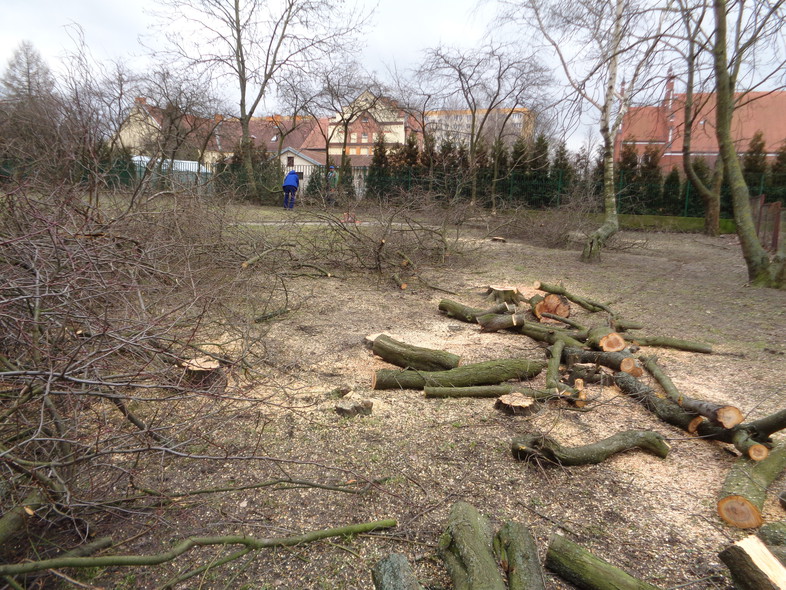 Elbląg, To zdjęcie otrzymaliśmy od Czytelnika z Zawady