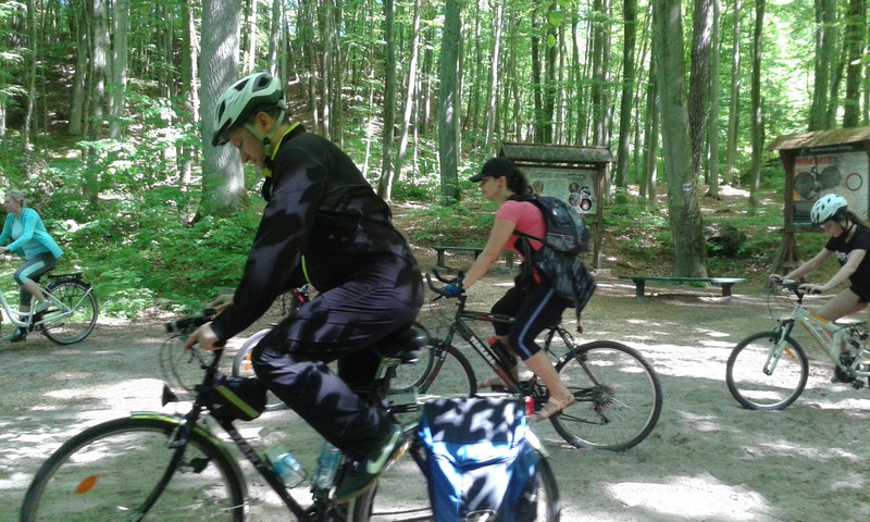 Elbląg, Rowerowy piknik SP 6 w Bażantarni Elbląg, Rowerowy piknik SP 6 w Bażantarni
