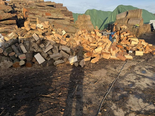 Elbląg Sprzedam drewno opałowe. Cena od 200 zł mp. Więcej informacji na priv lub pod numerem telefonu