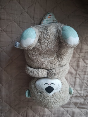 Elbląg Sprzedam szumisia wydrę Fisherprice. Stan bardzo dobry jedynie do odświeżenia. Regulacja głośności, różne