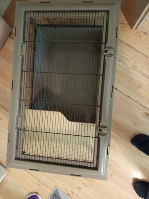 Elbląg Sprzedam klatke o wymiarach 80x47 wysokosc 35 stan bardzo dobry, idealnie nadaje sie dla swinki morskiej,