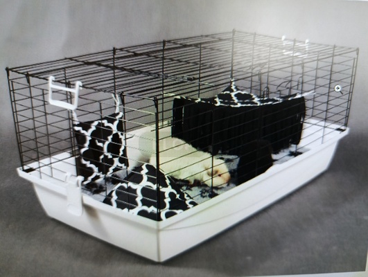 Elbląg Kupię dużą klatkę dla świnki morskiej/królika chętnie z całym wyposażeniem, zdjęcia wraz z ceną poproszę na