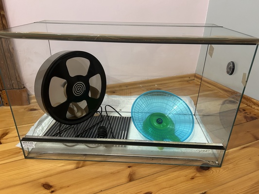 Elbląg Terrarium szklane o wymiarach 80/40/50 (dł/szer/wysok ) z przesuwanymi szybkami. W komplecie mata podgrzewana,