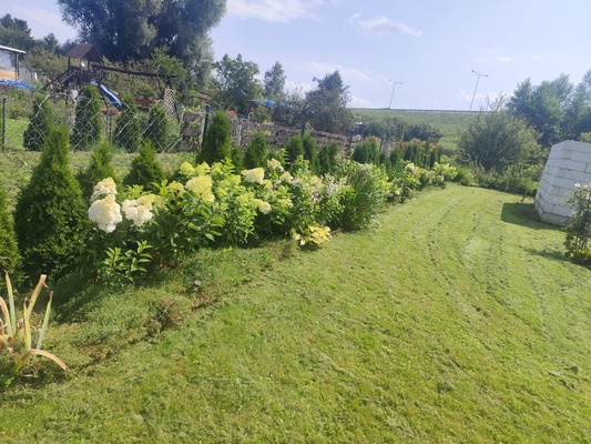 Elbląg Działka ROD PRZYRODA 600m2