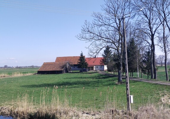 🏡 Dom na wsi - Siedlisko z ziemią 15km od Elbląga 🌳