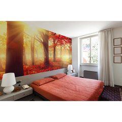 Fototapeta samoprzylepna 400x260 cm - Jesień Fototapeta samoprzylepna 400x260 cm - Jesień