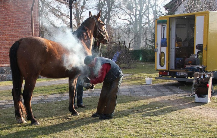Pokaz kucia konia na gorąco. Kadyny Srebrny Dzwon (Kwiecień 2012)