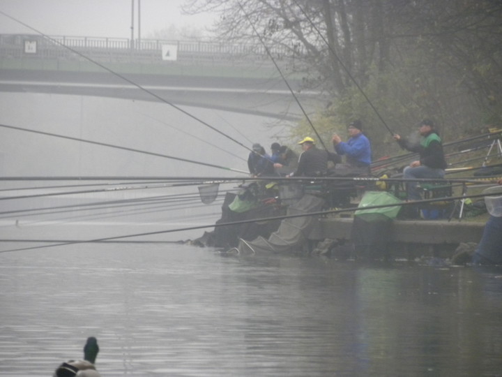 Na zawodach. Rzeka Elbląg (Listopad 2015)