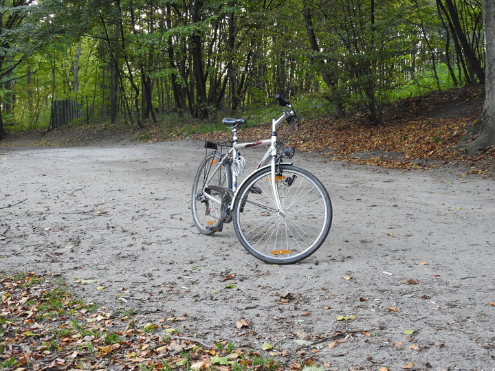 Samotność na Green Velo. Nowa - jeszcze - trasa rowerowa przez Bażantarnię (Październik 2016)