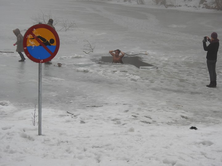 Zakaz kąpieli... A on?. "Mors" pluskający w Jeziorze Martwym na Jeleniej Dolinie. (Styczeń 2017)