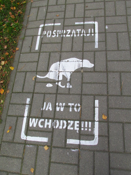 Właściciele psów powinni szanować chodniki. Jestem za oznakowaniem chodników pies nie jest świętą krową ani ich właściciele