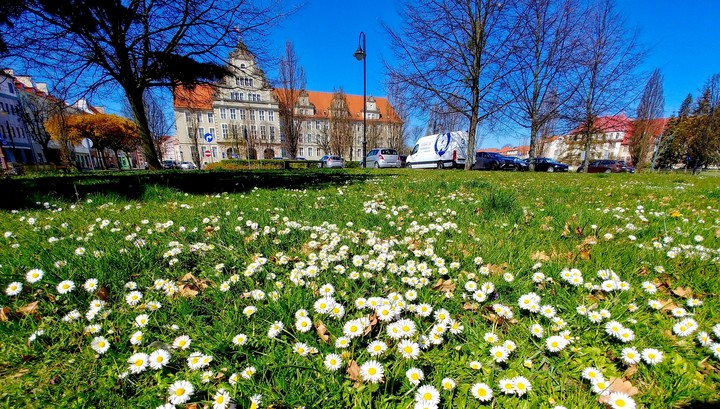 Wiosna w centrum Elbląga.  (Kwiecień 2020)
