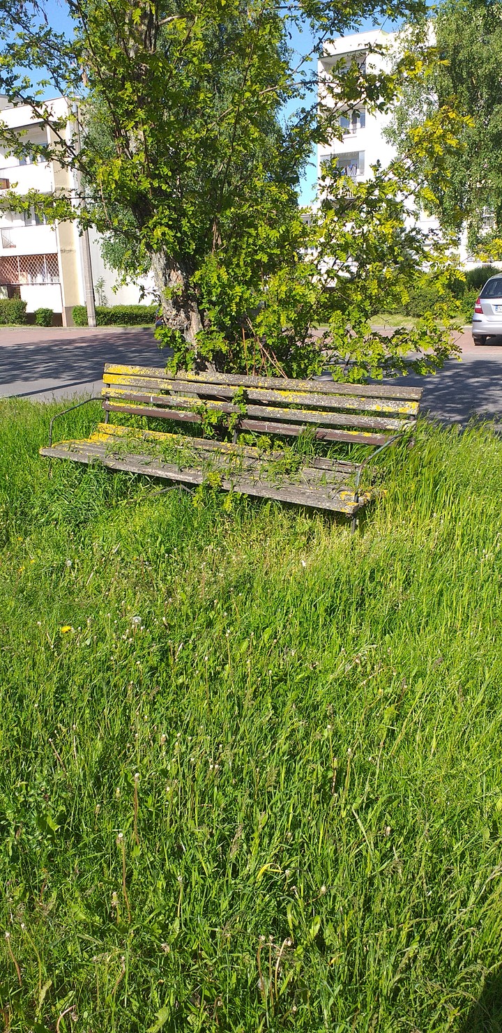 Prezent ławeczka od miasta. Ta przepiękna ławeczka znajduje się na parkingu przy ul Broniewskiego w Elblągu  brawo włodarze miasta ładny prezent (Czerwiec 2020)