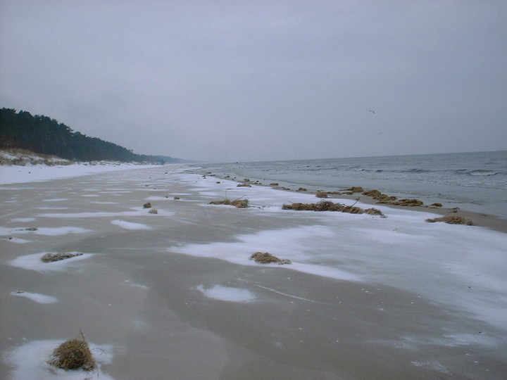 Zimno.wietrznie.. Wyprawa nad morze. (Grudzień 2012)